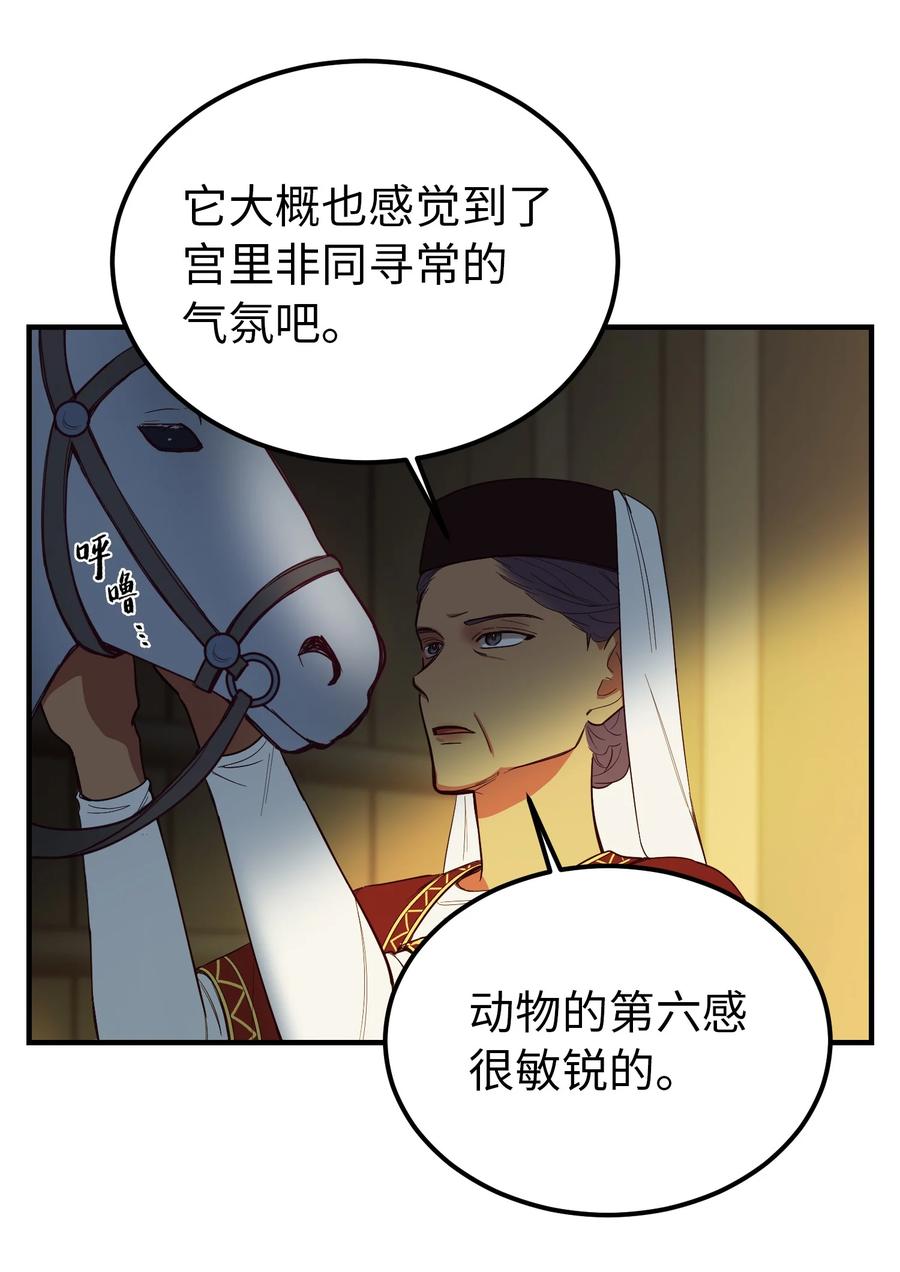 《神灯里的魔女》75 误伤 第5页