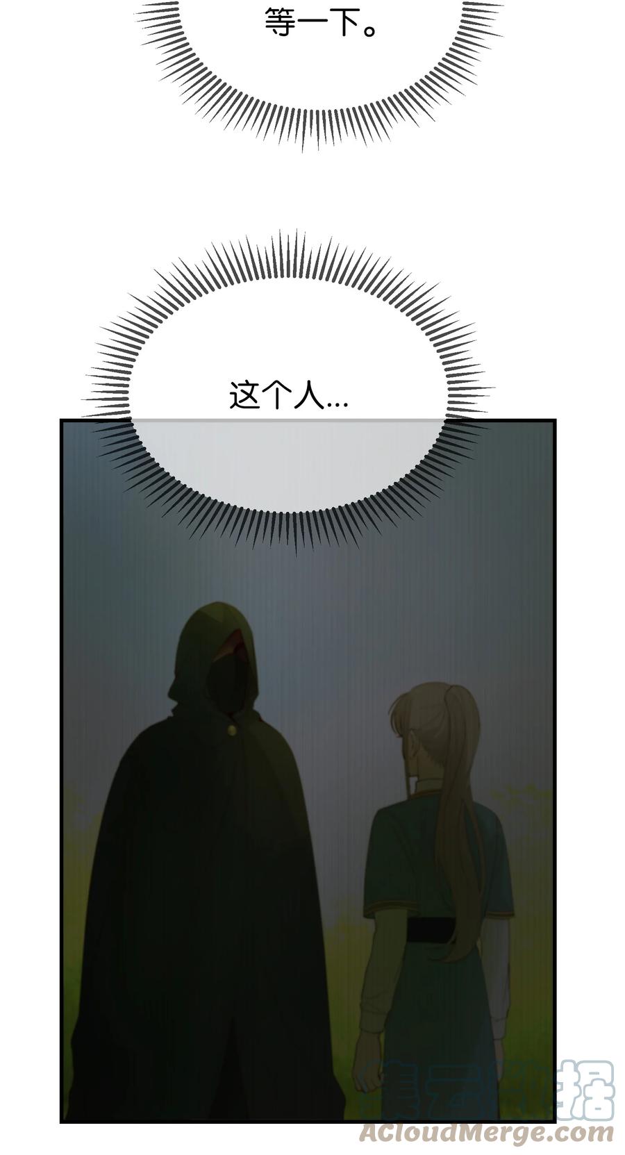 《神灯里的魔女》77 这张脸 第40页