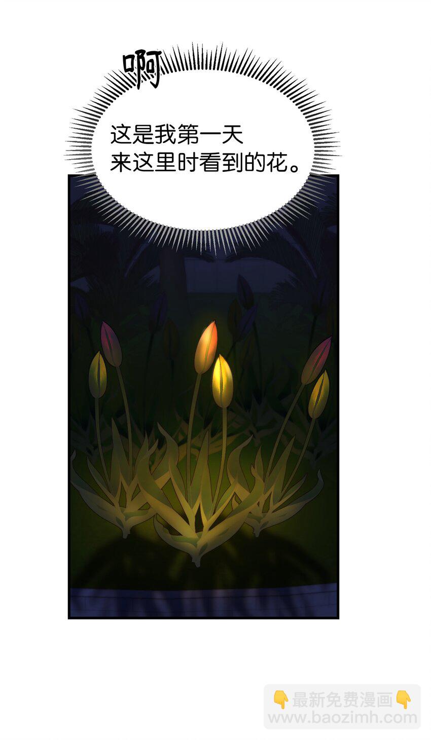 《神灯里的魔女》120 在托艾普的最后一晚 第27页
