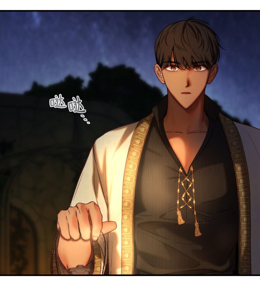 《神灯里的魔女》120 在托艾普的最后一晚 第38页