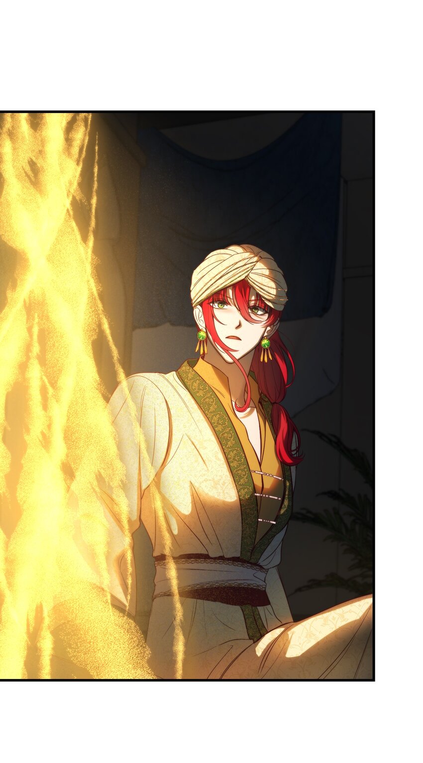 《神灯里的魔女》126 纳迪尔的结局 第30页