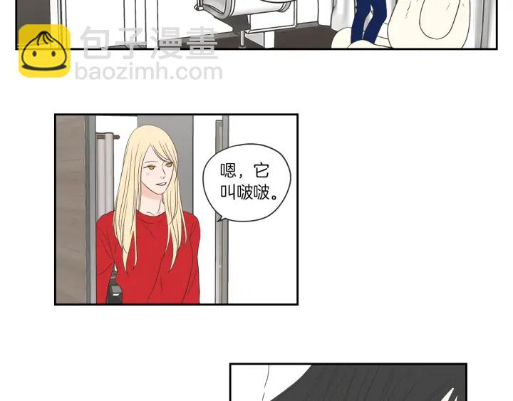 《狐狸在说什么？》第67话 重新来过吧 第42页