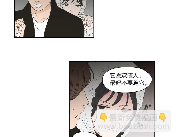 《狐狸在说什么？》第71话 一起住吧 第41页