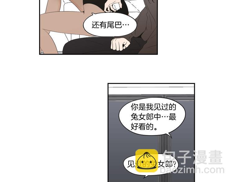 《狐狸在说什么？》番外1完结篇 情人节 第31页