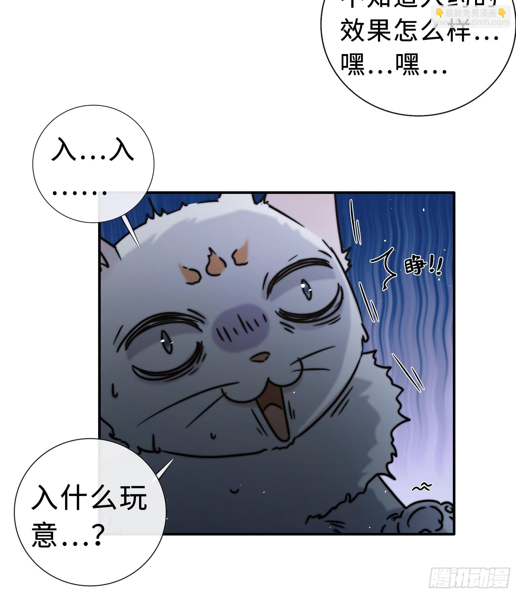《月坠重明》公主和尊上生疏了？ 第13页