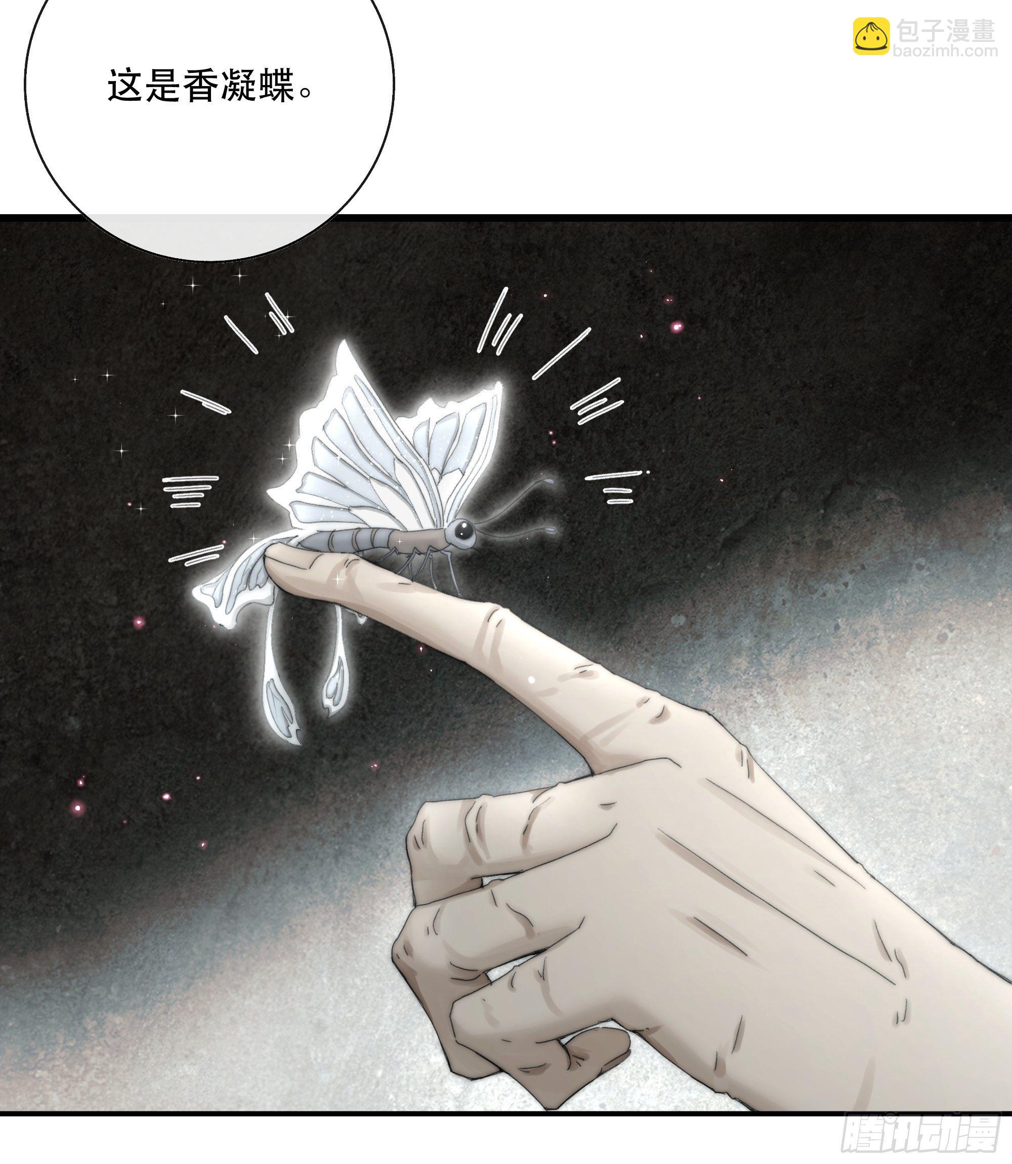《月坠重明》买一只香凝蝶送给内子 第18页