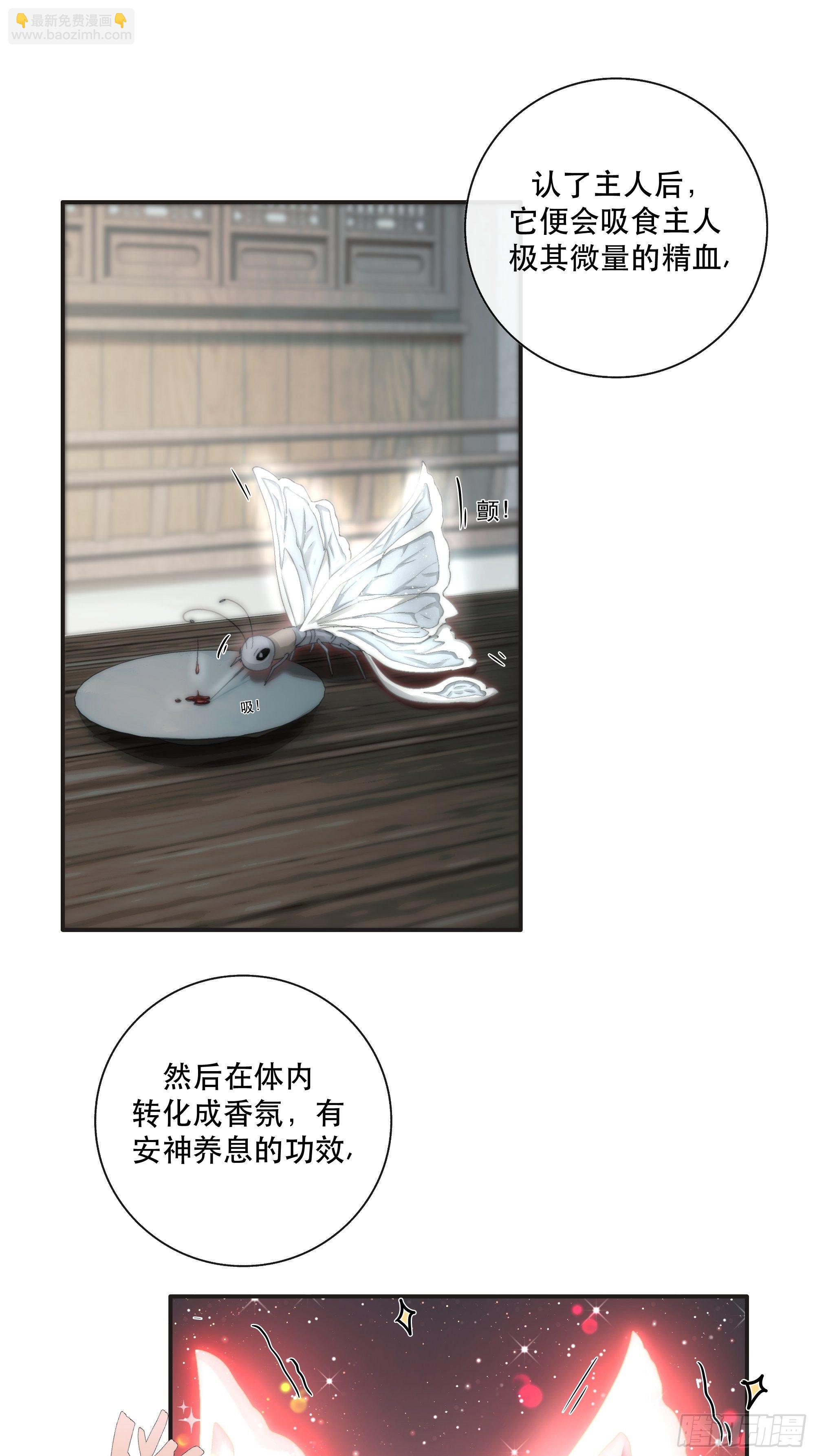 《月坠重明》买一只香凝蝶送给内子 第19页