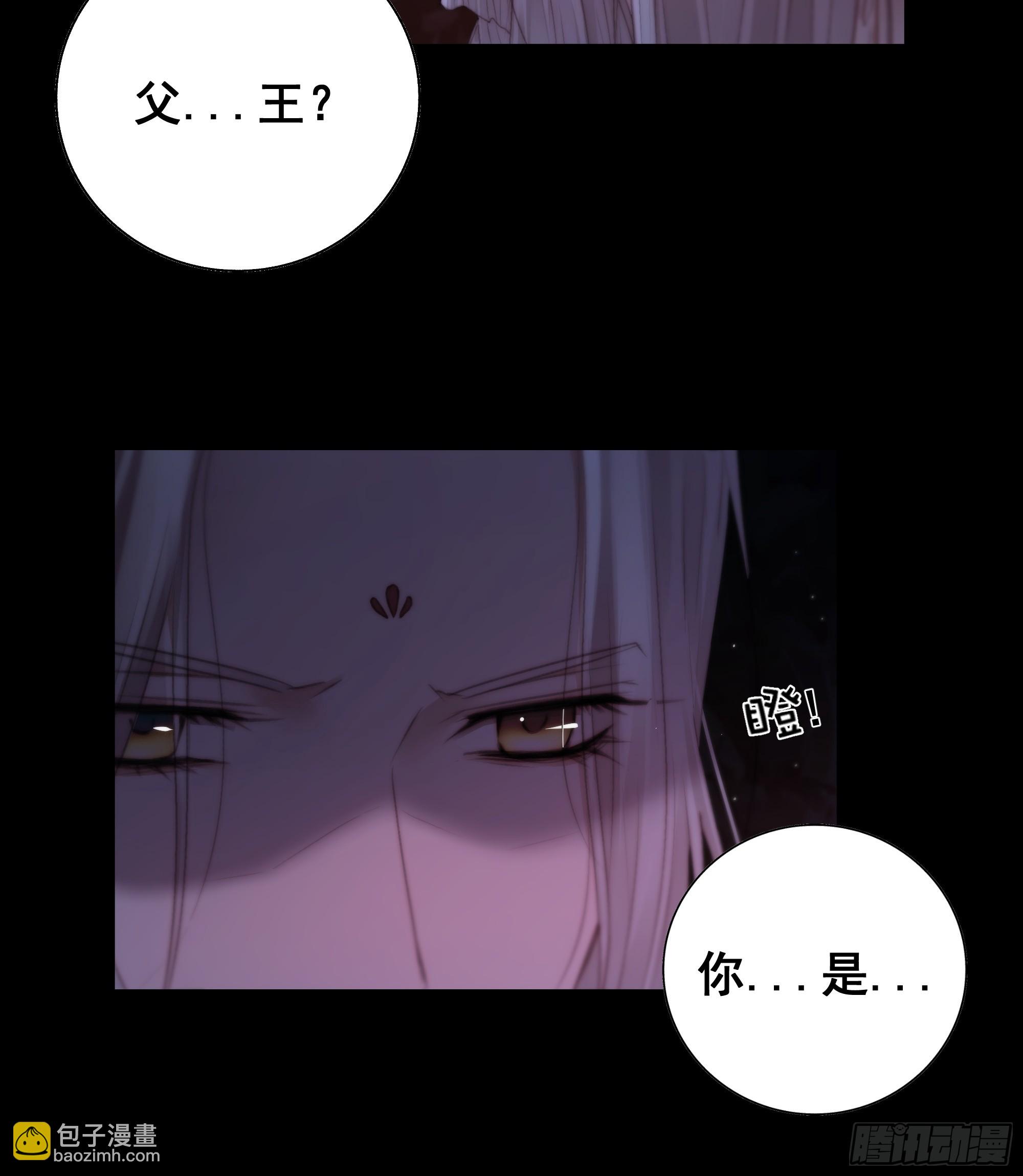 《月坠重明》南荒国主埋下的血与仇 第11页