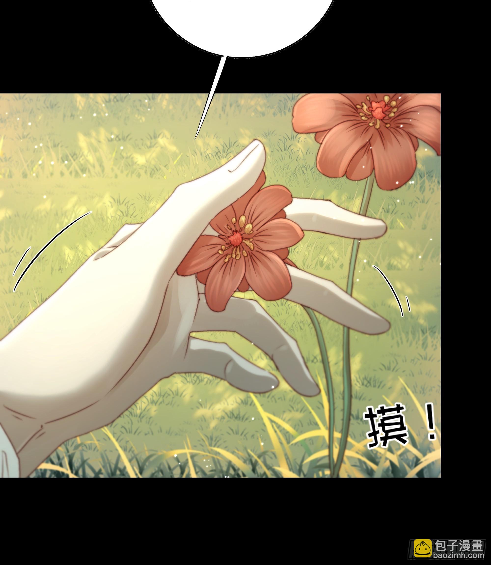 《月坠重明》95 短暂的生命也值得好好绽放 第31页