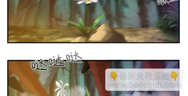 《将军的小宠医》第1话 救命恩人？ 第5页