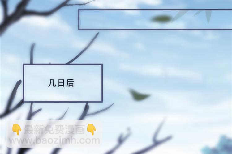 《将军的小宠医》第18话 可愿珍惜本王？ 第28页