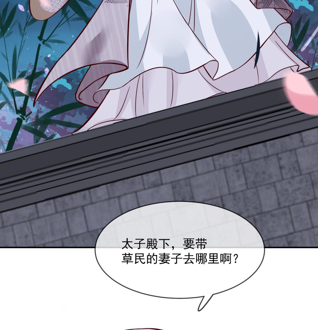 《将军的小宠医》第44话 昨晚发生了什么 第11页