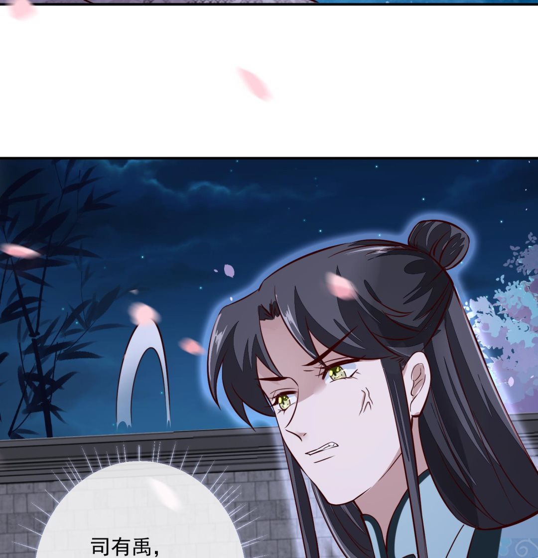 《将军的小宠医》第44话 昨晚发生了什么 第28页