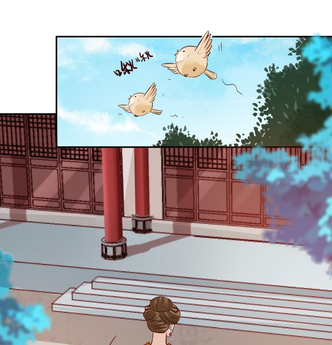 《将军的小宠医》第47话 你会后悔的！ 第43页