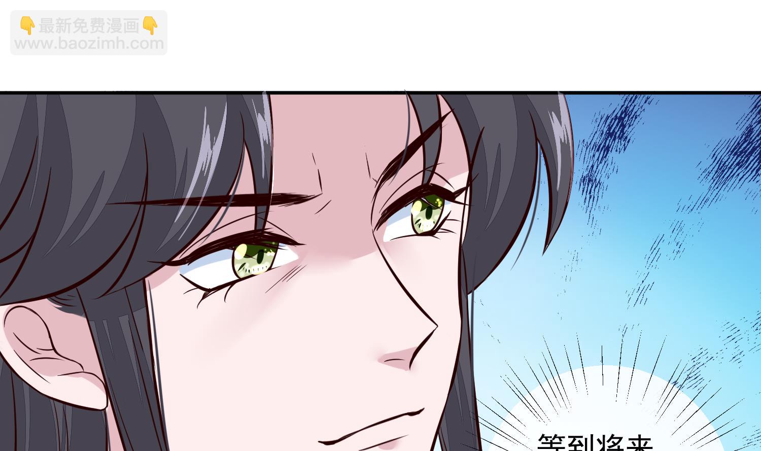 《将军的小宠医》第51话 你们都是我的棋子 第13页