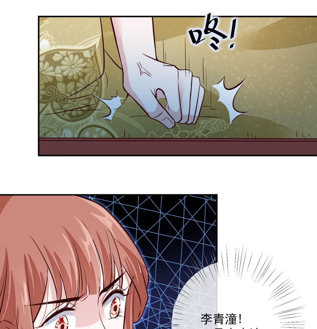 《将军的小宠医》第53话 是本宫喜欢的女人 第28页