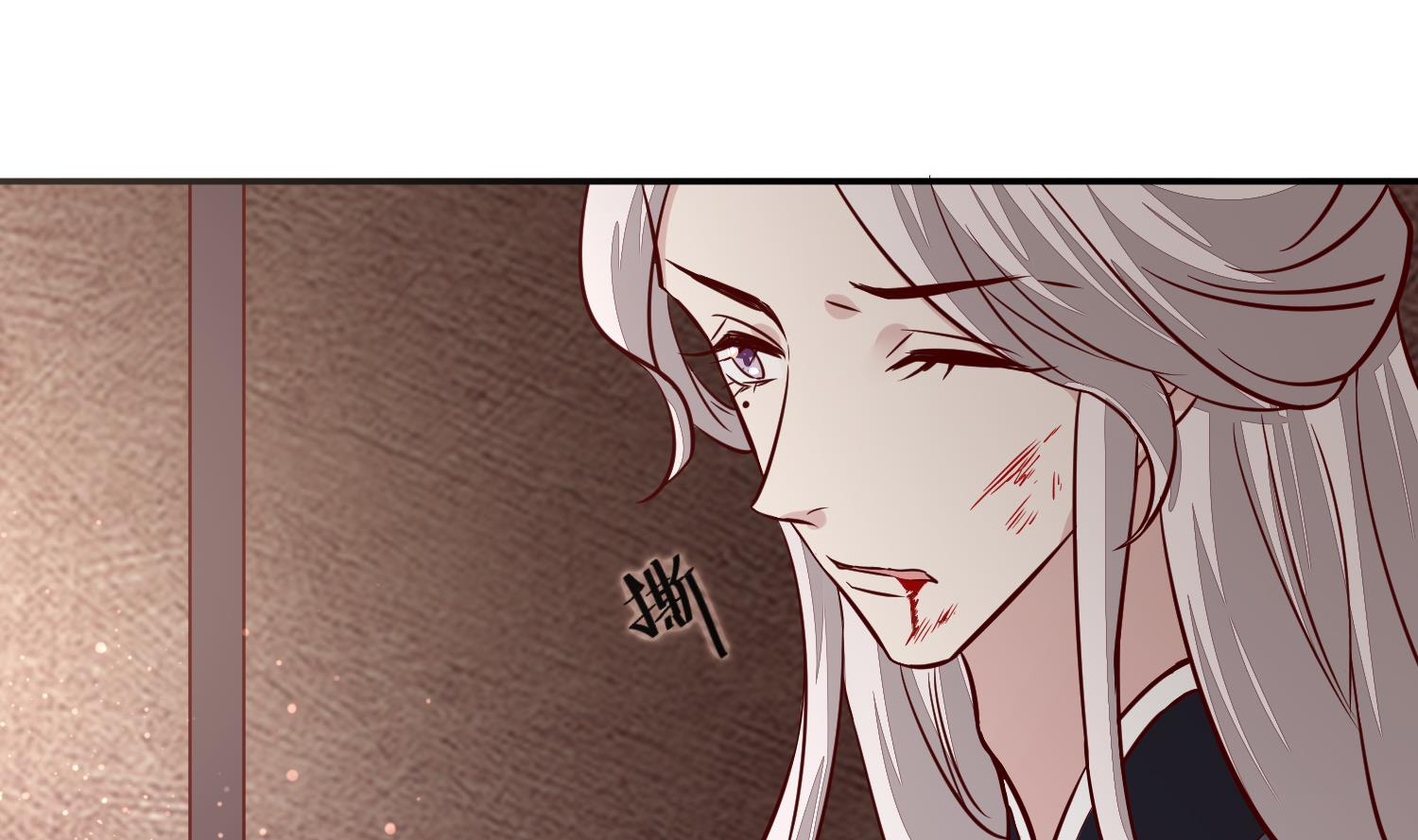 《将军的小宠医》第61话 该抓的人都抓了吗 第13页