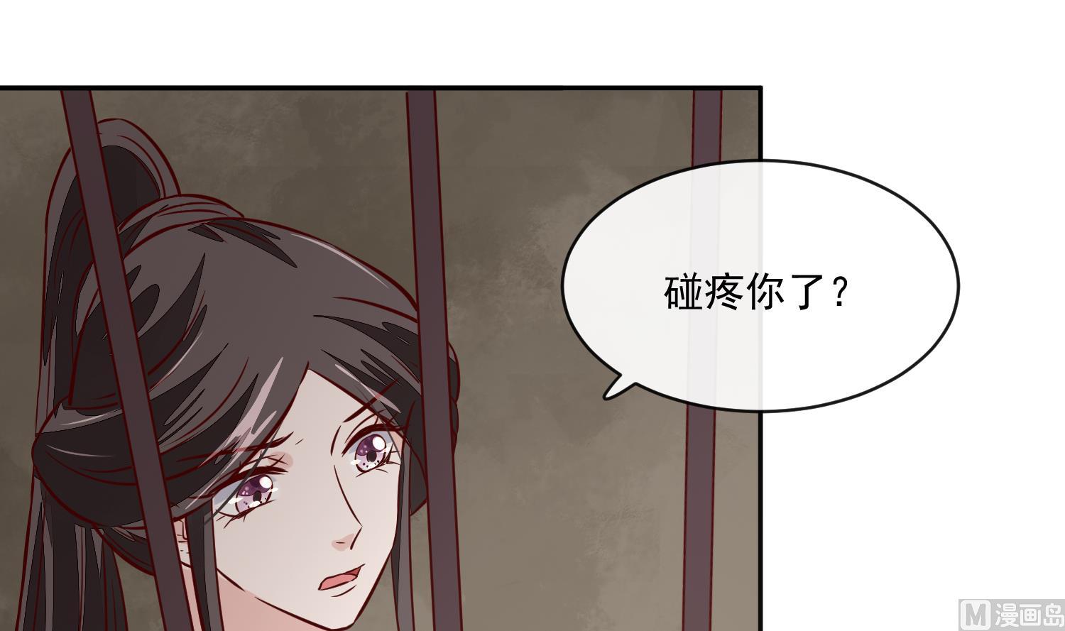 《将军的小宠医》第61话 该抓的人都抓了吗 第15页