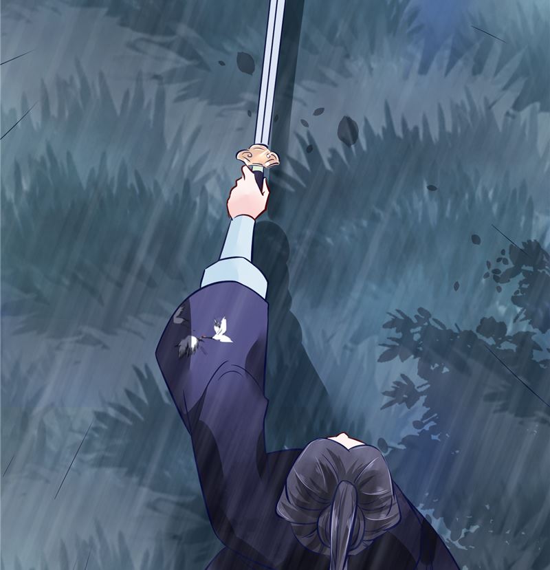 《将军的小宠医》第77话 你走吧 第31页
