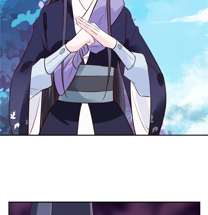 《将军的小宠医》第80话 进宫面圣 第29页