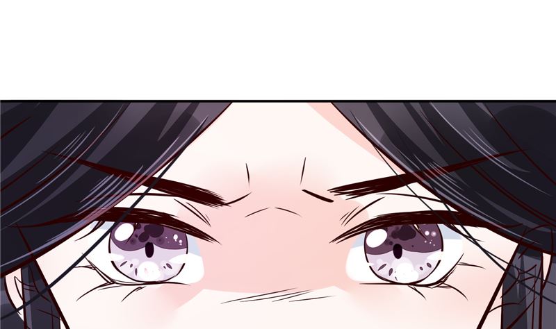 《将军的小宠医》第80话 进宫面圣 第31页