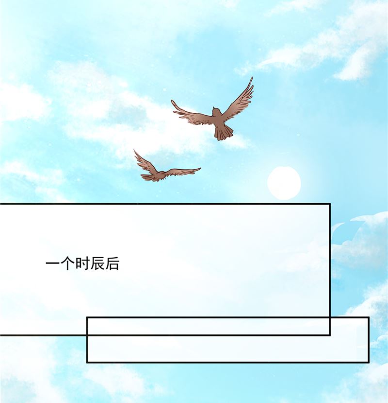 《将军的小宠医》第80话 进宫面圣 第38页