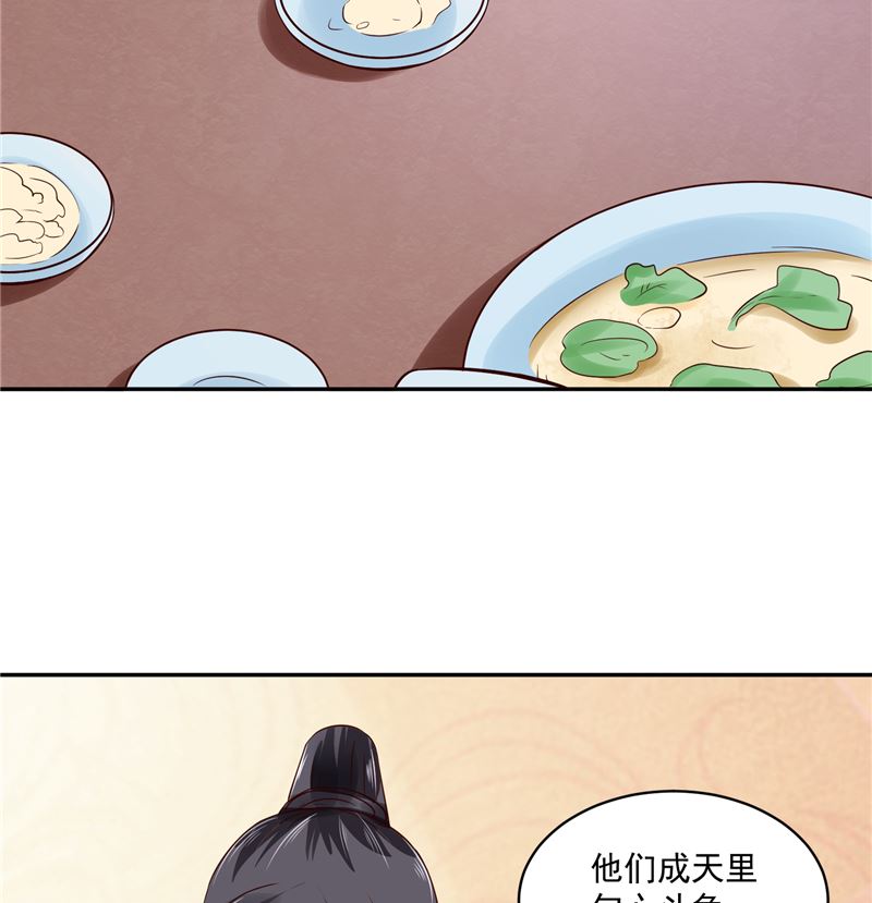 《将军的小宠医》第89话 他是一个不错的人选 第28页