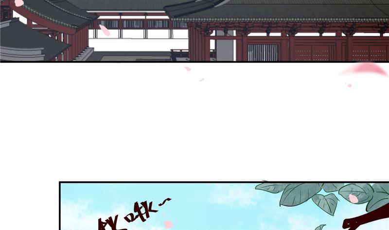 《将军的小宠医》第91话 将军，接招吧！ 第16页