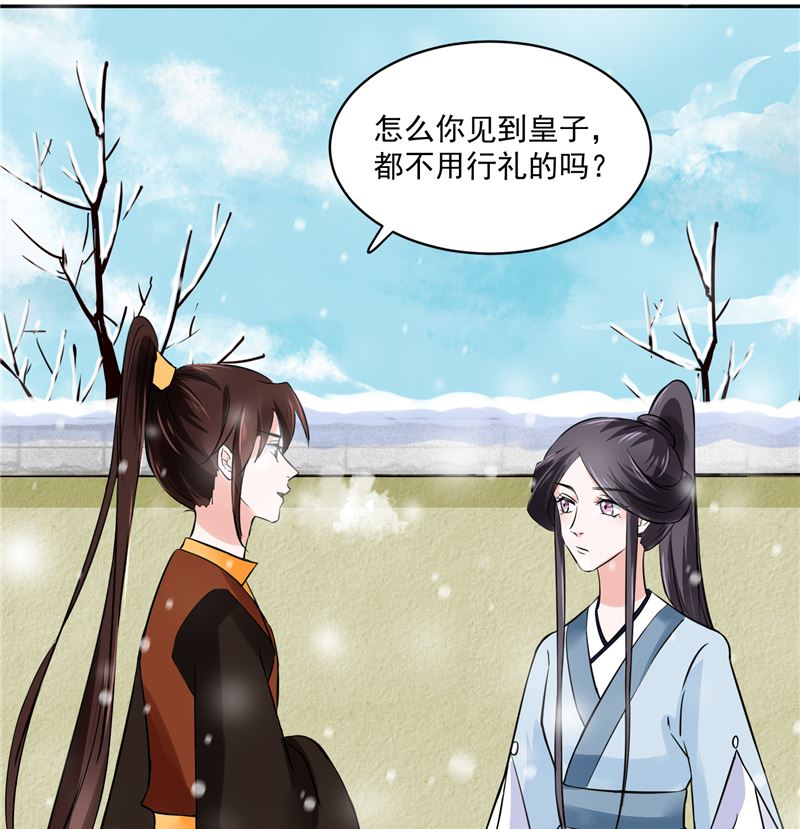 《将军的小宠医》第97话 三皇子欧阳烨 第28页