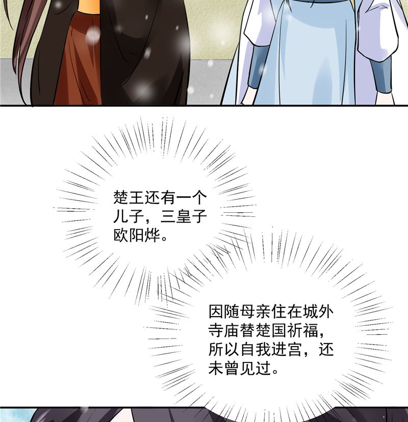 《将军的小宠医》第97话 三皇子欧阳烨 第29页