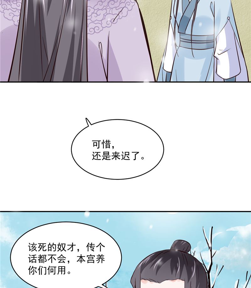 《将军的小宠医》第97话 三皇子欧阳烨 第46页