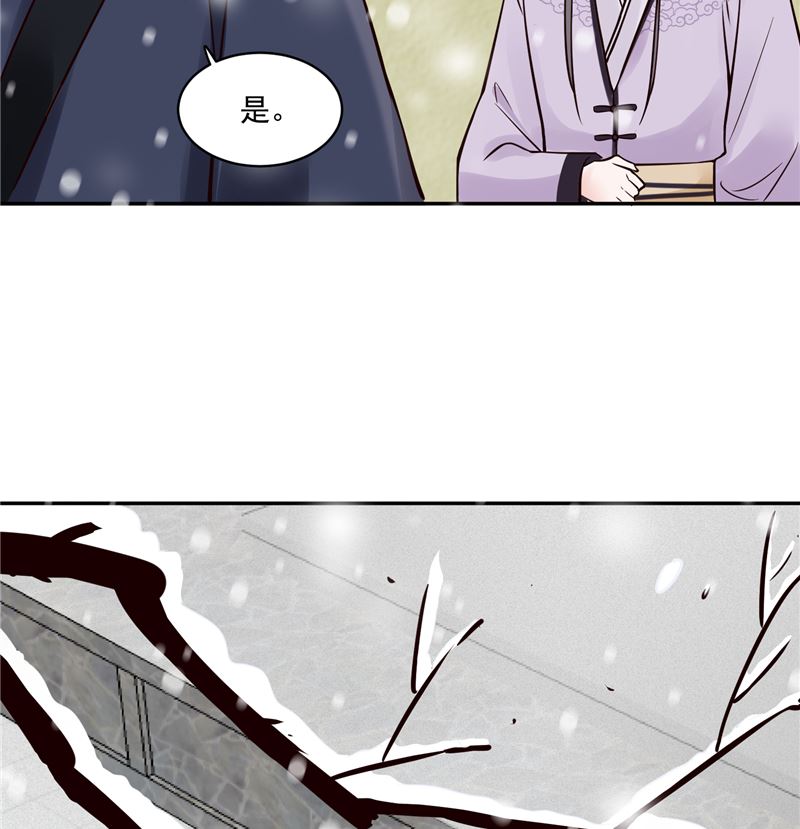 《将军的小宠医》第98话 楚王病重 第28页