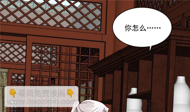 《将军的小宠医》第103话 想带你回仙风谷 第31页