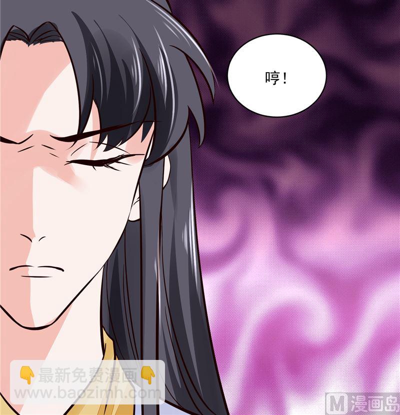 《将军的小宠医》第106话 本宫不是有意的 第30页