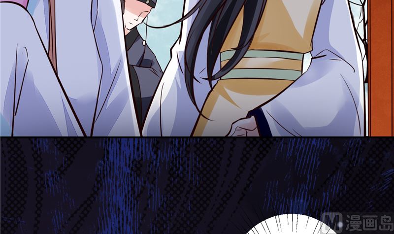 《将军的小宠医》第106话 本宫不是有意的 第33页
