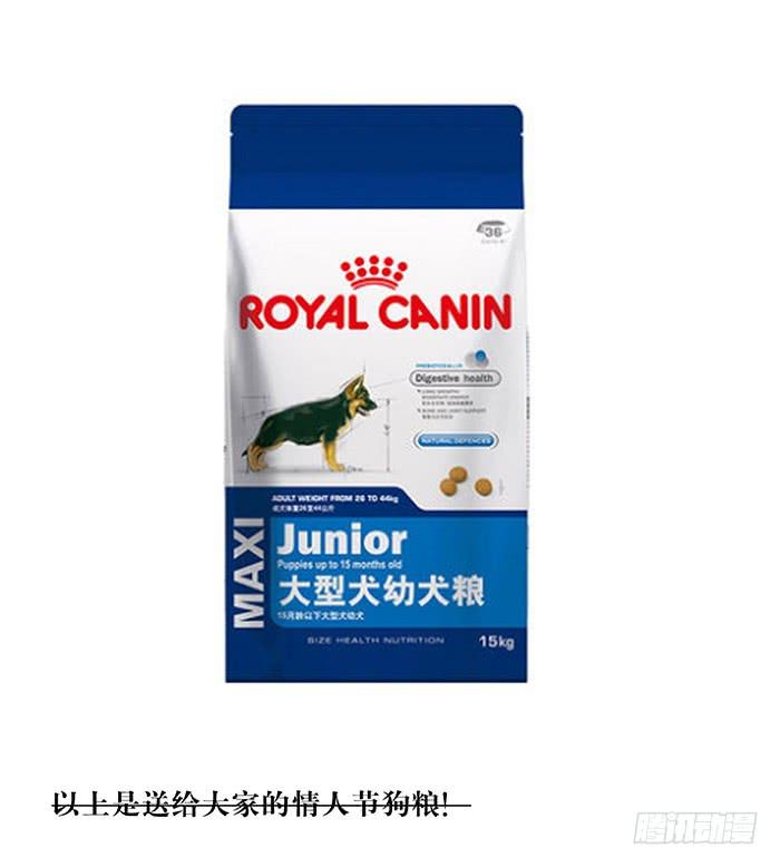 《相亲终结者》狗粮节快乐！ 第1页