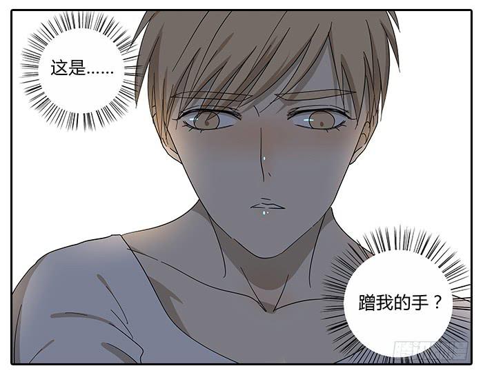 《相亲终结者》28.惊醒 第19页