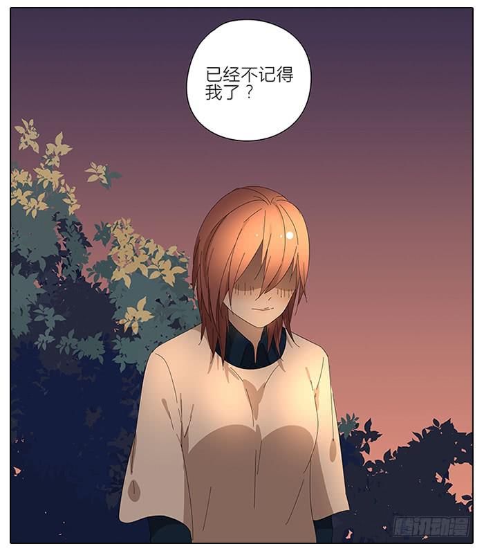 《相亲终结者》41.铁树开花 第11页