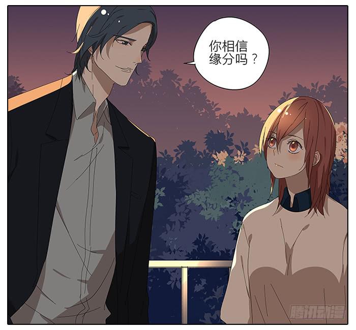 《相亲终结者》41.铁树开花 第14页