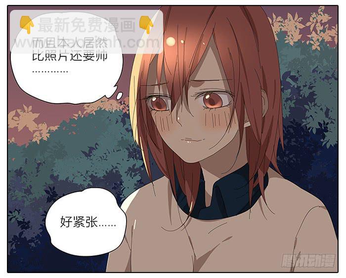 《相亲终结者》41.铁树开花 第4页