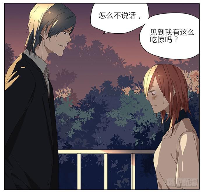 《相亲终结者》41.铁树开花 第5页