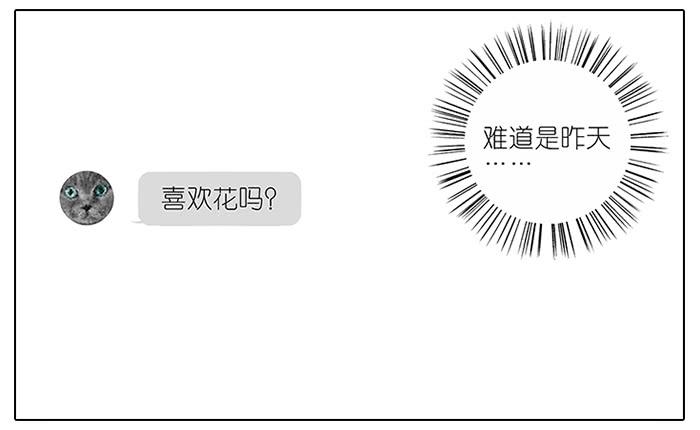 《相亲终结者》48.花 第20页