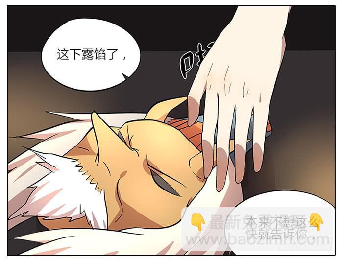 《相亲终结者》57.熘了熘了！ 第5页