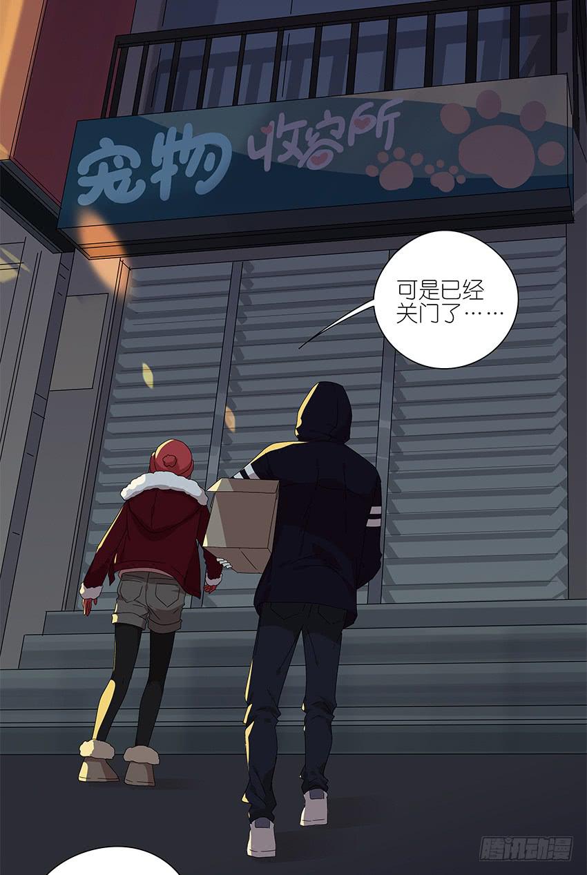 《相亲终结者》89.收容所 第24页