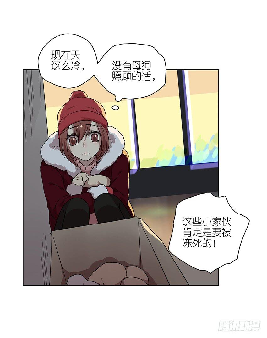 《相亲终结者》88.去年的平安夜 第13页
