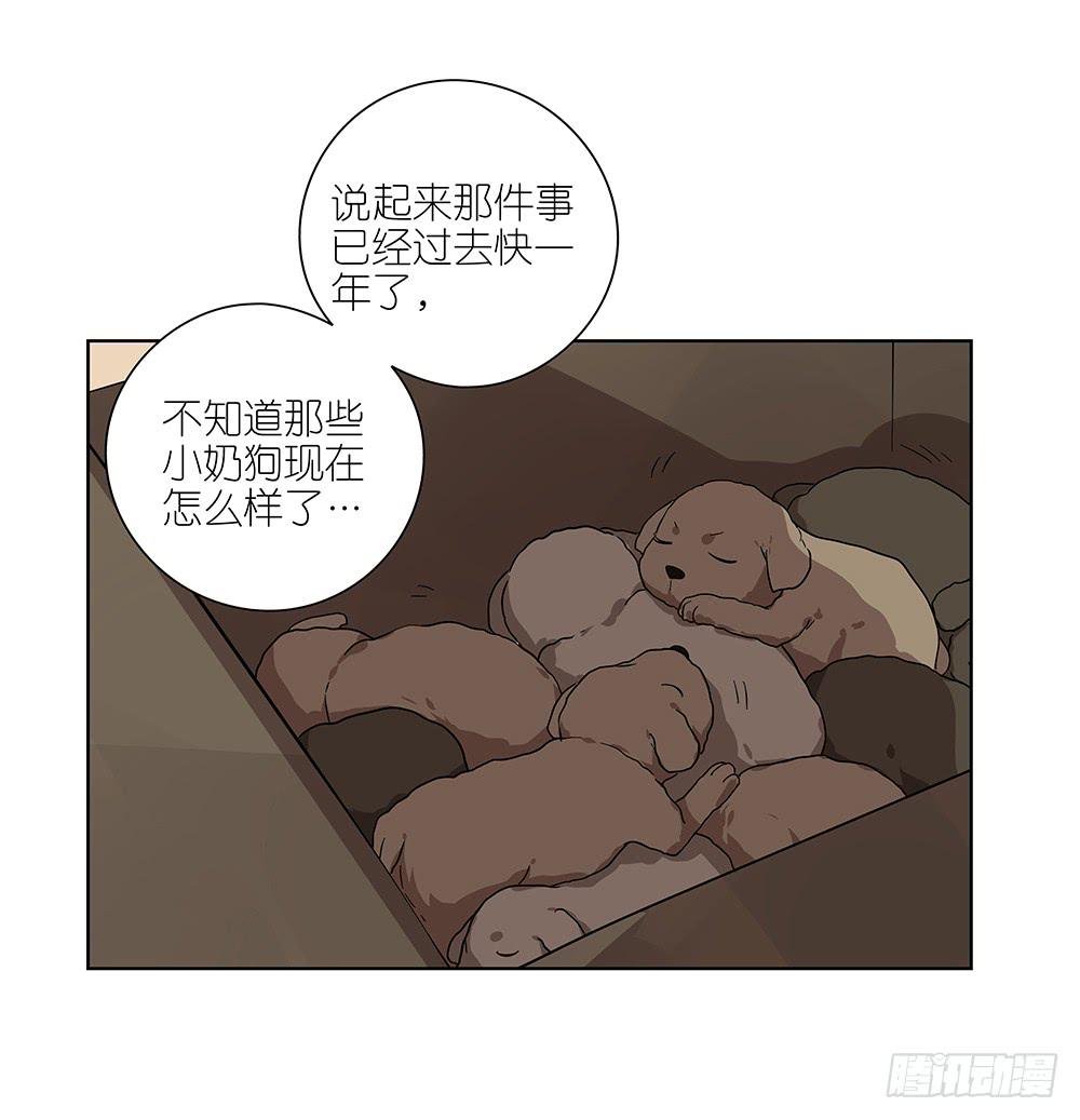 《相亲终结者》101.碰碰运气 第18页