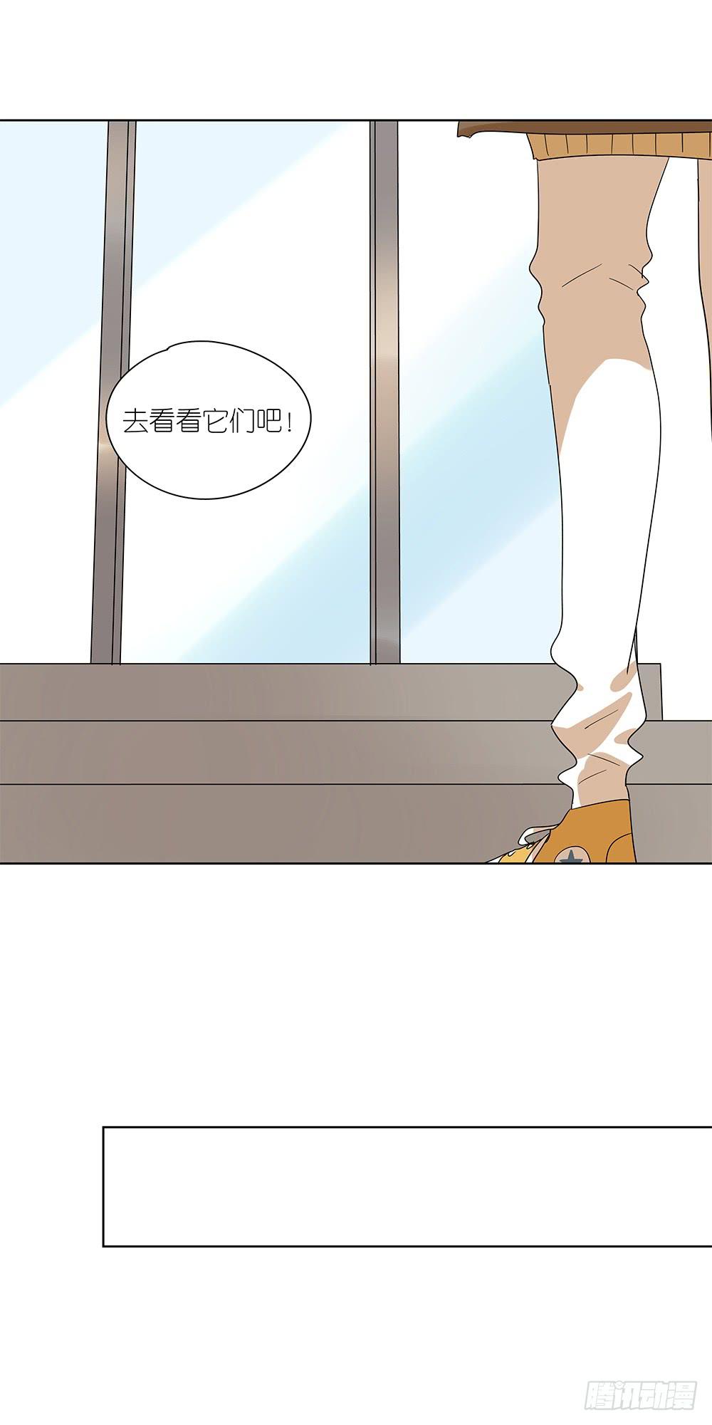 《相亲终结者》101.碰碰运气 第19页