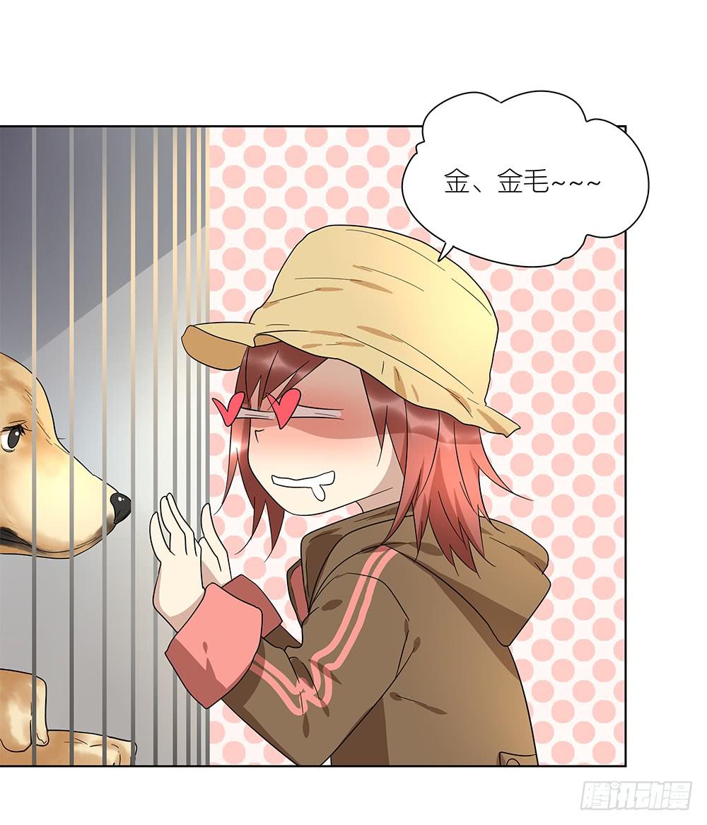 《相亲终结者》101.碰碰运气 第27页