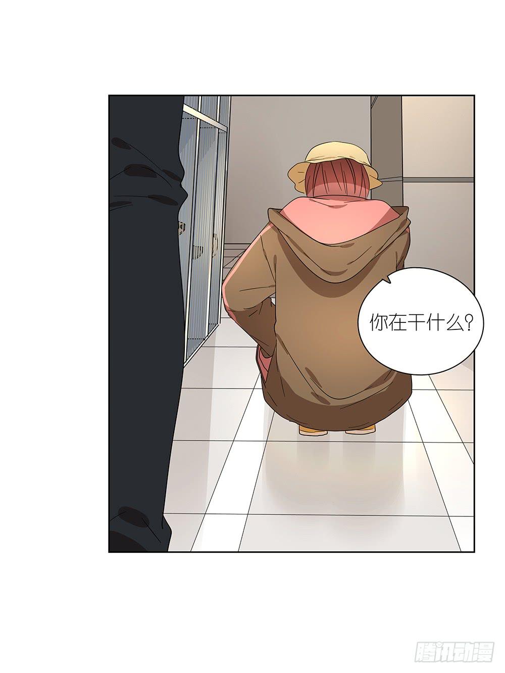 《相亲终结者》101.碰碰运气 第36页