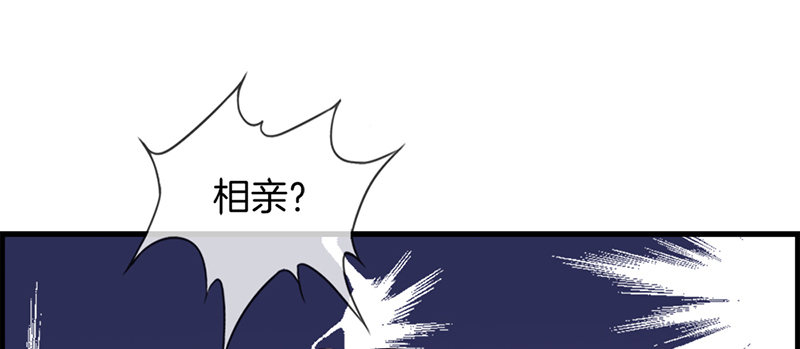 《腹黑少爷撩上我》第五话 相亲 第14页